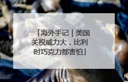海外手记｜美国关税威力大，比利时巧克力都害怕