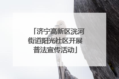 济宁高新区洸河街道阳光社区开展普法宣传活动