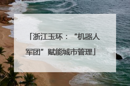 浙江玉环：“机器人军团”赋能城市管理