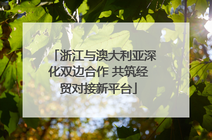 浙江与澳大利亚深化双边合作 共筑经贸对接新平台