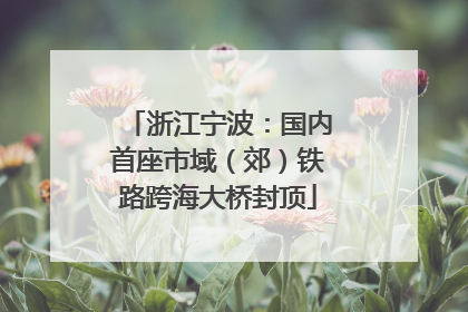 浙江宁波：国内首座市域（郊）铁路跨海大桥封顶