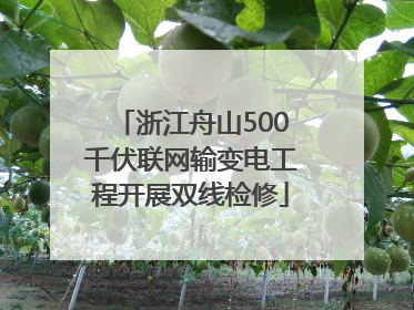 浙江舟山500千伏联网输变电工程开展双线检修