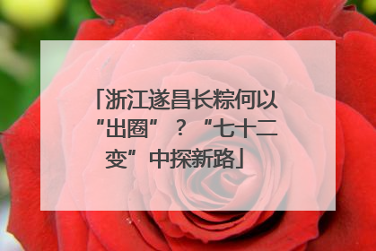 浙江遂昌长粽何以“出圈”？“七十二变”中探新路