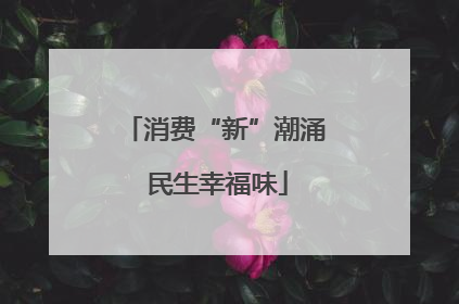 消费“新”潮涌 民生幸福味