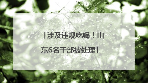 涉及违规吃喝！山东6名干部被处理