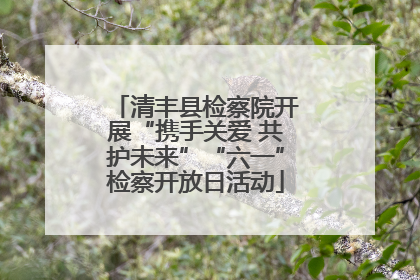 清丰县检察院开展“携手关爱 共护未来”“六一”检察开放日活动