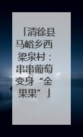 清徐县马峪乡西梁泉村：串串葡萄变身“金果果”
