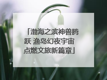 渤海之滨神兽腾跃 渔岛幻夜宇宙点燃文旅新篇章