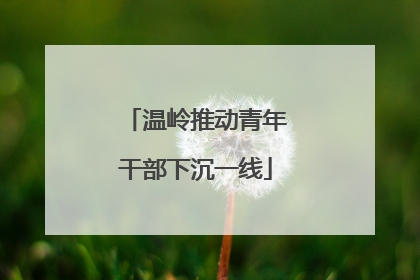 温岭推动青年干部下沉一线