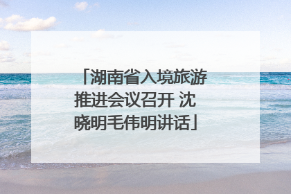 湖南省入境旅游推进会议召开 沈晓明毛伟明讲话