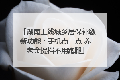 湖南上线城乡居保补缴新功能：手机点一点 养老金提档不用跑腿