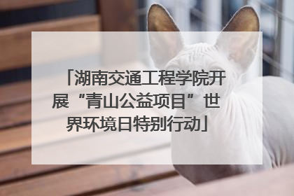 湖南交通工程学院开展“青山公益项目”世界环境日特别行动