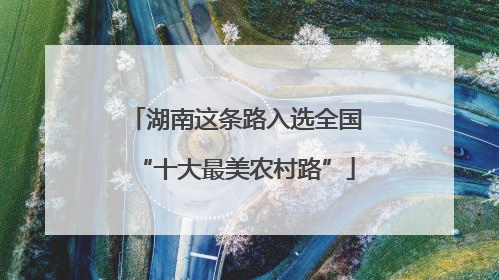 湖南这条路入选全国“十大最美农村路”