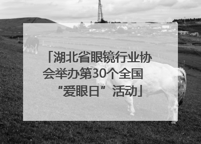 湖北省眼镜行业协会举办第30个全国“爱眼日”活动