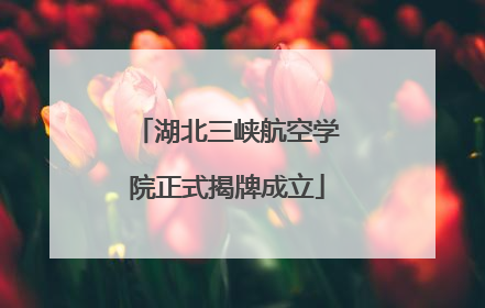 湖北三峡航空学院正式揭牌成立