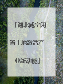 湖北咸宁闲置土地激活产业新动能