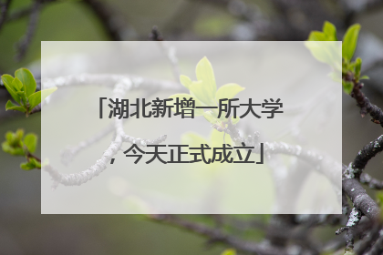湖北新增一所大学，今天正式成立