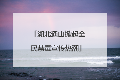 湖北通山掀起全民禁毒宣传热潮