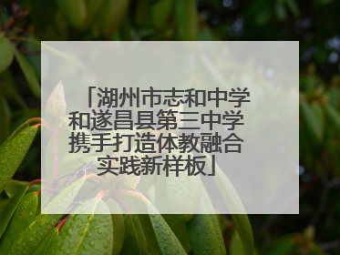 湖州市志和中学和遂昌县第三中学携手打造体教融合实践新样板