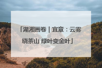 湖湘画卷｜宜章：云雾绕茶山 绿叶变金叶
