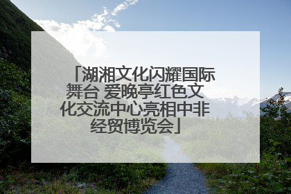 湖湘文化闪耀国际舞台 爱晚亭红色文化交流中心亮相中非经贸博览会