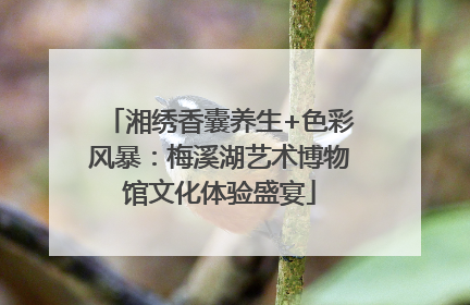 湘绣香囊养生+色彩风暴：梅溪湖艺术博物馆文化体验盛宴