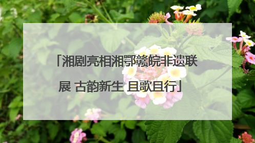 湘剧亮相湘鄂赣皖非遗联展 古韵新生 且歌且行