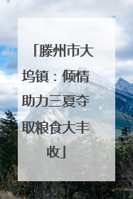 滕州市大坞镇：倾情助力三夏夺取粮食大丰收
