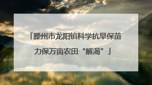 滕州市龙阳镇科学抗旱保苗 力保万亩农田“解渴”