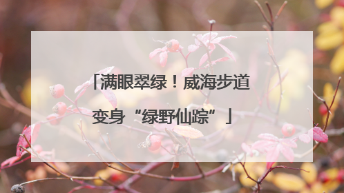 满眼翠绿！威海步道变身“绿野仙踪”