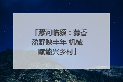 漯河临颍：蒜香盈野映丰年 机械赋能兴乡村
