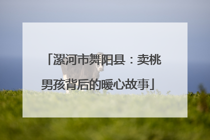 漯河市舞阳县：卖桃男孩背后的暖心故事