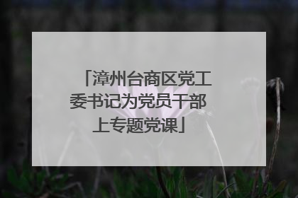漳州台商区党工委书记为党员干部上专题党课