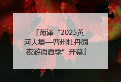 菏泽“2025黄河大集—曹州牡丹园夜游消夏季”开幕