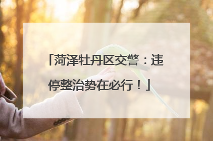 菏泽牡丹区交警：违停整治势在必行！