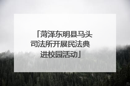菏泽东明县马头司法所开展民法典进校园活动
