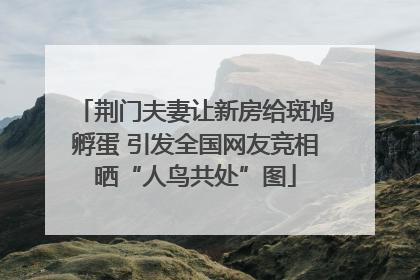 荆门夫妻让新房给斑鸠孵蛋 引发全国网友竞相晒“人鸟共处”图
