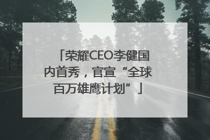 荣耀CEO李健国内首秀，官宣“全球百万雄鹰计划”