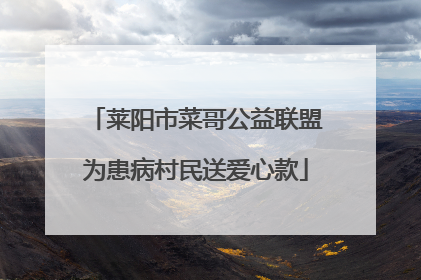 莱阳市菜哥公益联盟为患病村民送爱心款