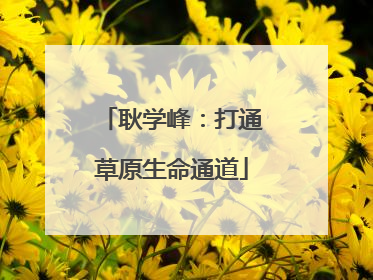 耿学峰：打通草原生命通道