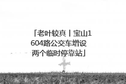 老叶较真丨宝山1604路公交车增设两个临时停靠站