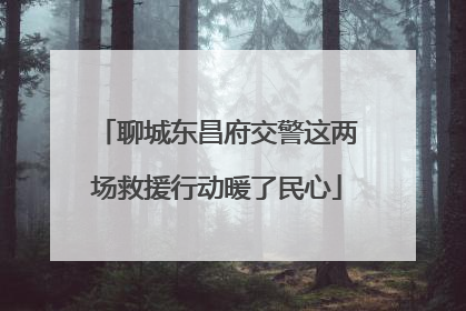 聊城东昌府交警这两场救援行动暖了民心