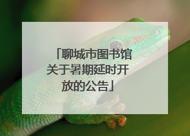 聊城市图书馆关于暑期延时开放的公告