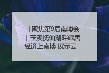 聚焦第9届南博会｜玉溪抚仙湖畔旅居经济上南博 展示云南生活新样本