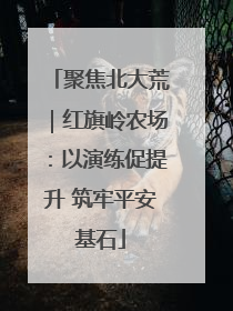 聚焦北大荒｜红旗岭农场：以演练促提升 筑牢平安基石