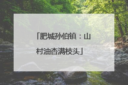 肥城孙伯镇：山村油杏满枝头