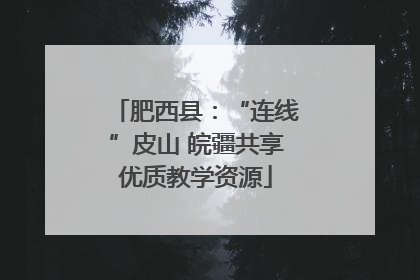 肥西县：“连线”皮山 皖疆共享优质教学资源