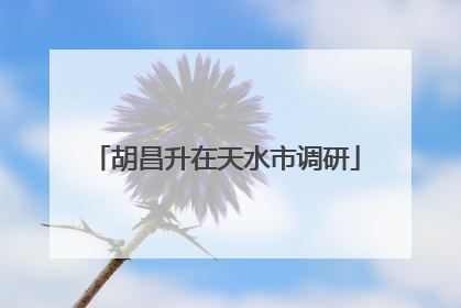 胡昌升在天水市调研