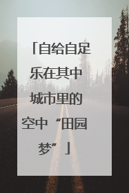 自给自足 乐在其中 城市里的空中“田园梦”