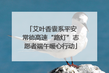 艾叶香囊系平安 常德高速“路灯”志愿者端午暖心行动